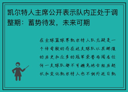 凯尔特人主席公开表示队内正处于调整期：蓄势待发，未来可期