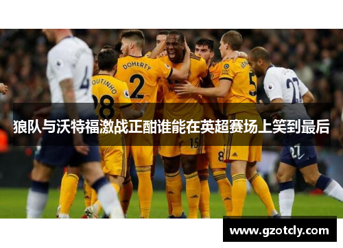 狼队与沃特福激战正酣谁能在英超赛场上笑到最后